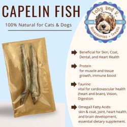 Dog And Cat Natural Capelin Fish Treats