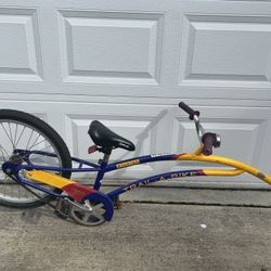 Adams “Share The Ride” Trail-A-Bike