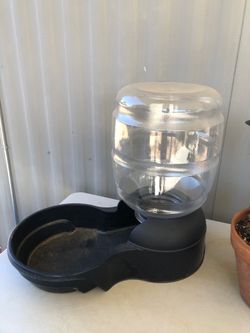 Dog water bowl