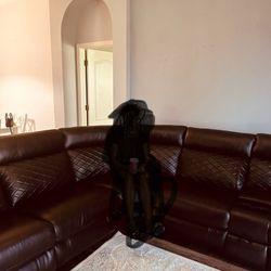 Walnut Leather Recliner Sectional 