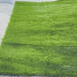 Artificial Grass 