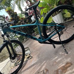 Trek 29 Mountain bike
