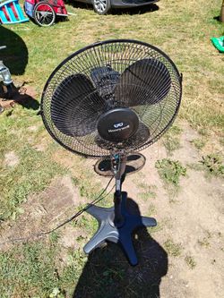 Fan