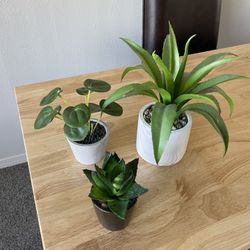 Small Fake Plant Bundle 