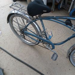 Schwinn Cruiser 