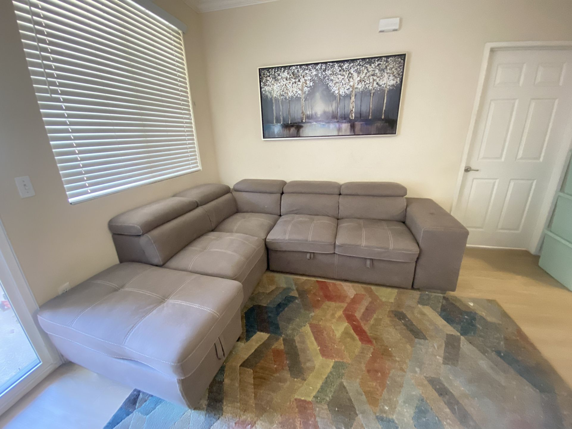 Pull Out Couch