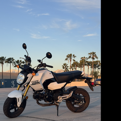Honda grom 2025 ABS