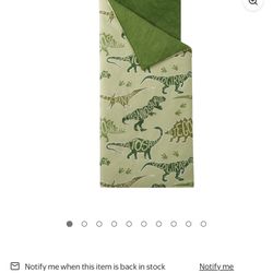 Dino Nap Mat 