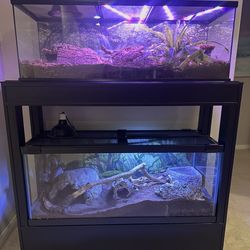 Terrarium/ aquarium stand for two tanks. (Tanks not included)