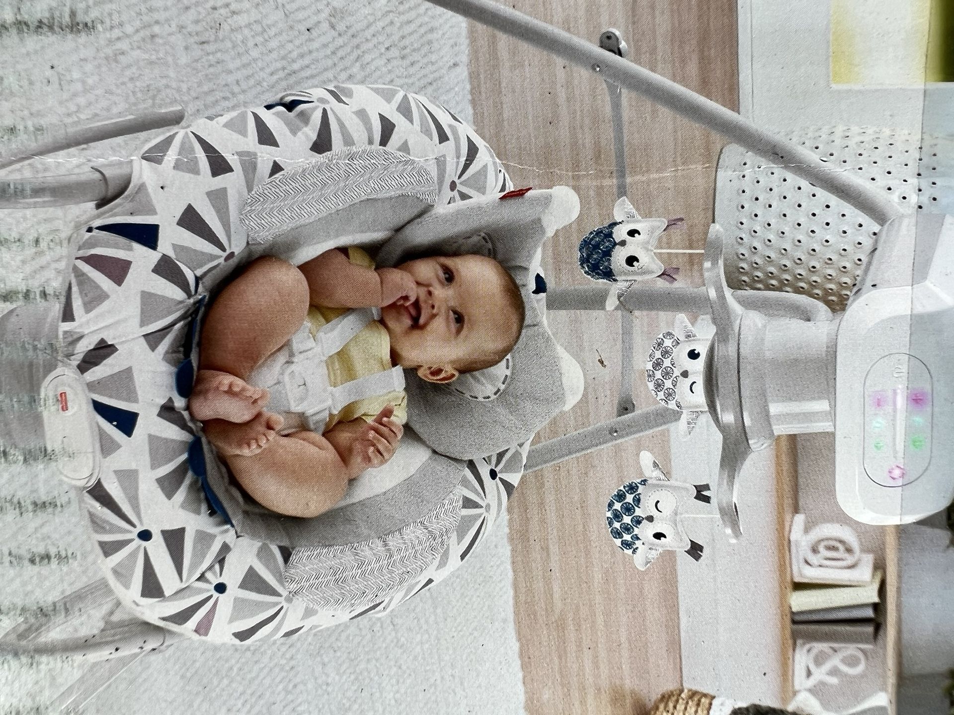 Fisher Price Swing 2 In One Brand New