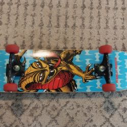 Skateboards 