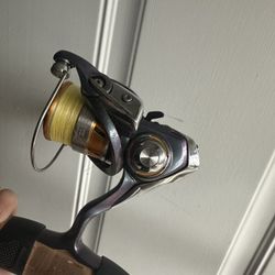 Daiwa Regal Fishing Reel