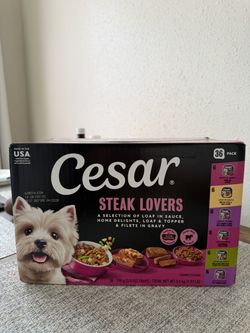 Food for dogs