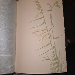 Those who see collectable book