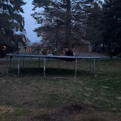 Trampoline