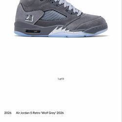 Jordan 5 wolf grey