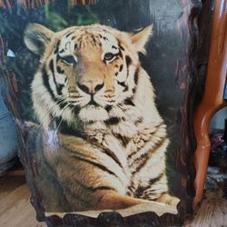 Vintage Tiger Wooden Wall Art 