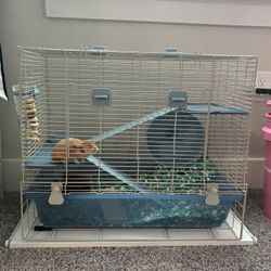 Hamster And Cage 