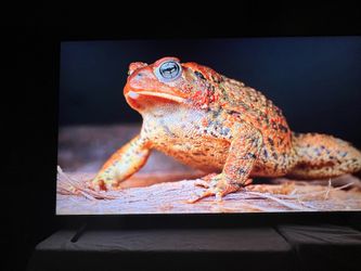 86” LG 4K UHD TV