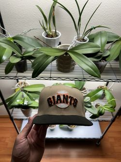 San Francisco Giants 7 1/4 New Era Fitted