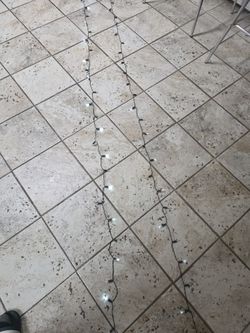 (2) Christmas Lights
