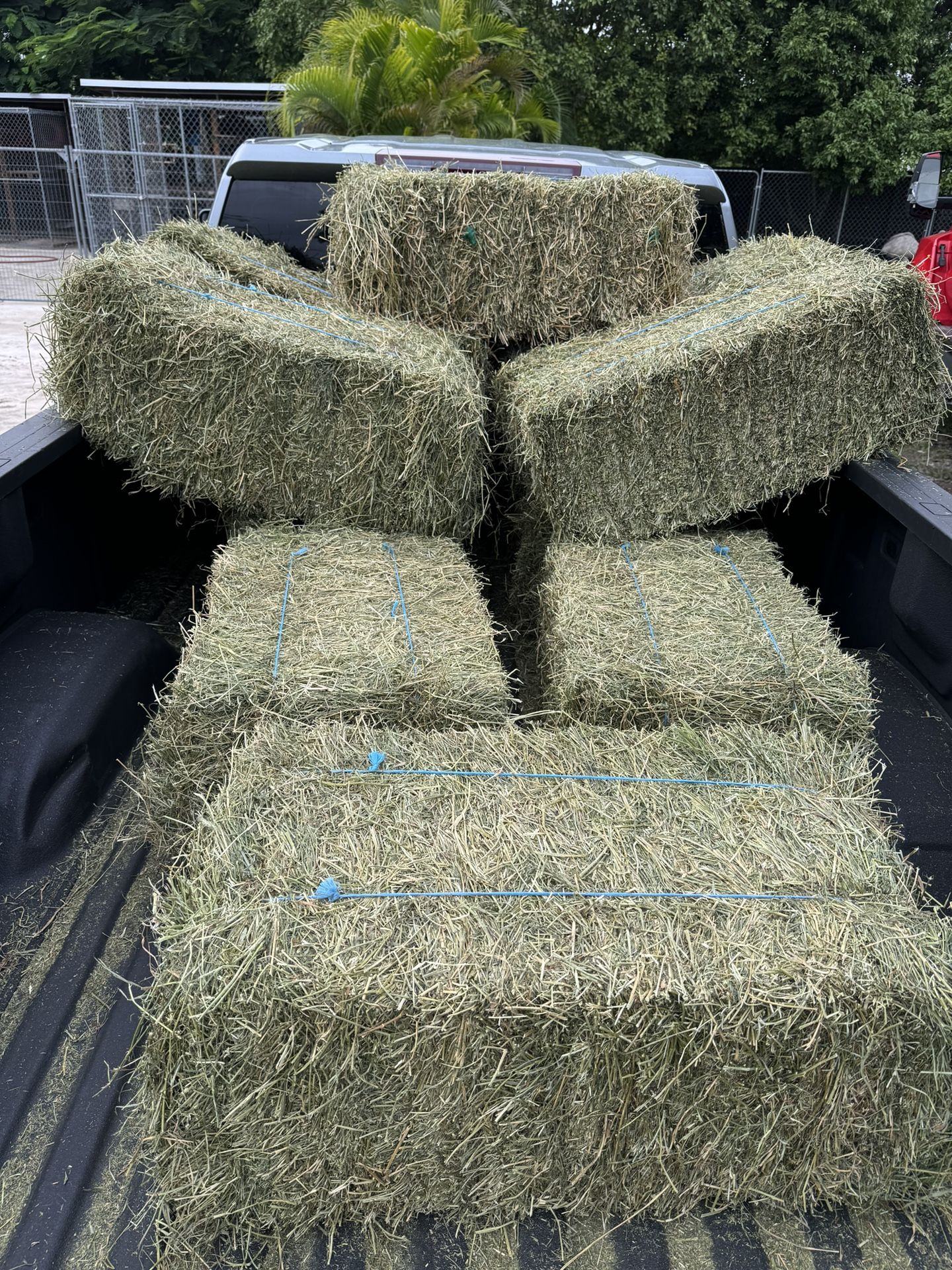 Alfalfa Hay