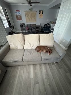Couches