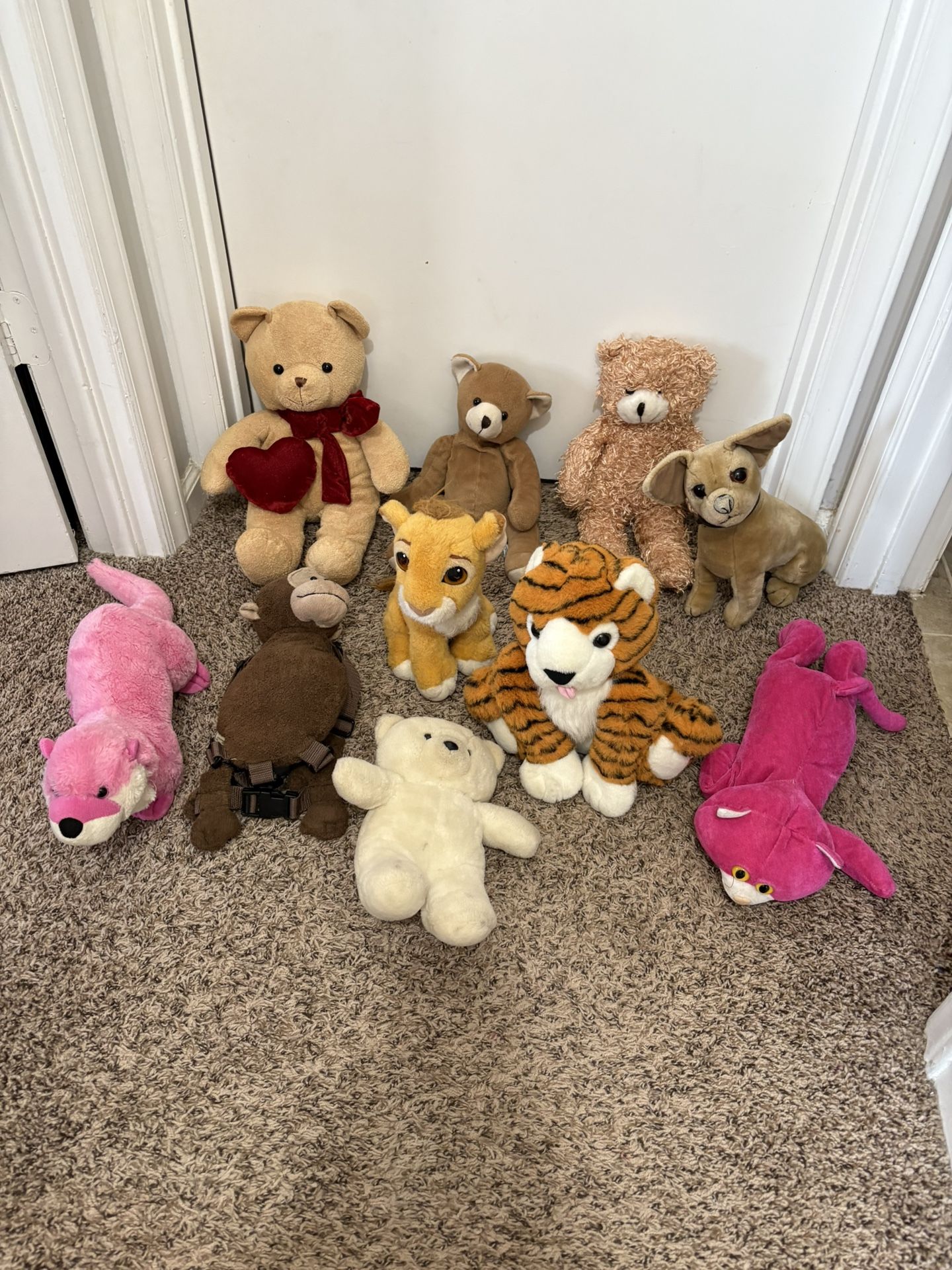 Teddy Lot