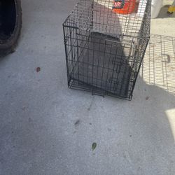 Dog Kennel