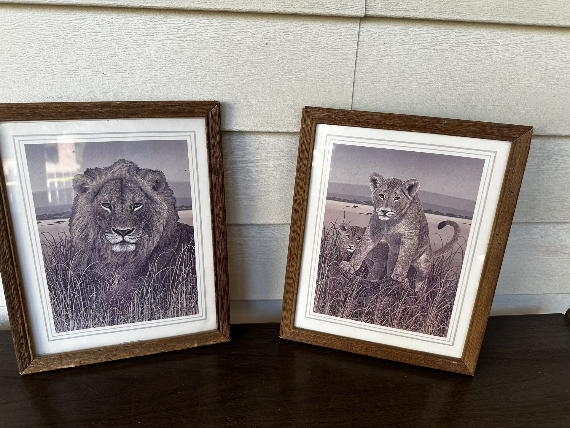80’s Safari Print by Larry Jacobsen, MCM Safari Lions Wall Art, Safari Litho, Mid Century Wall Art Set Decor