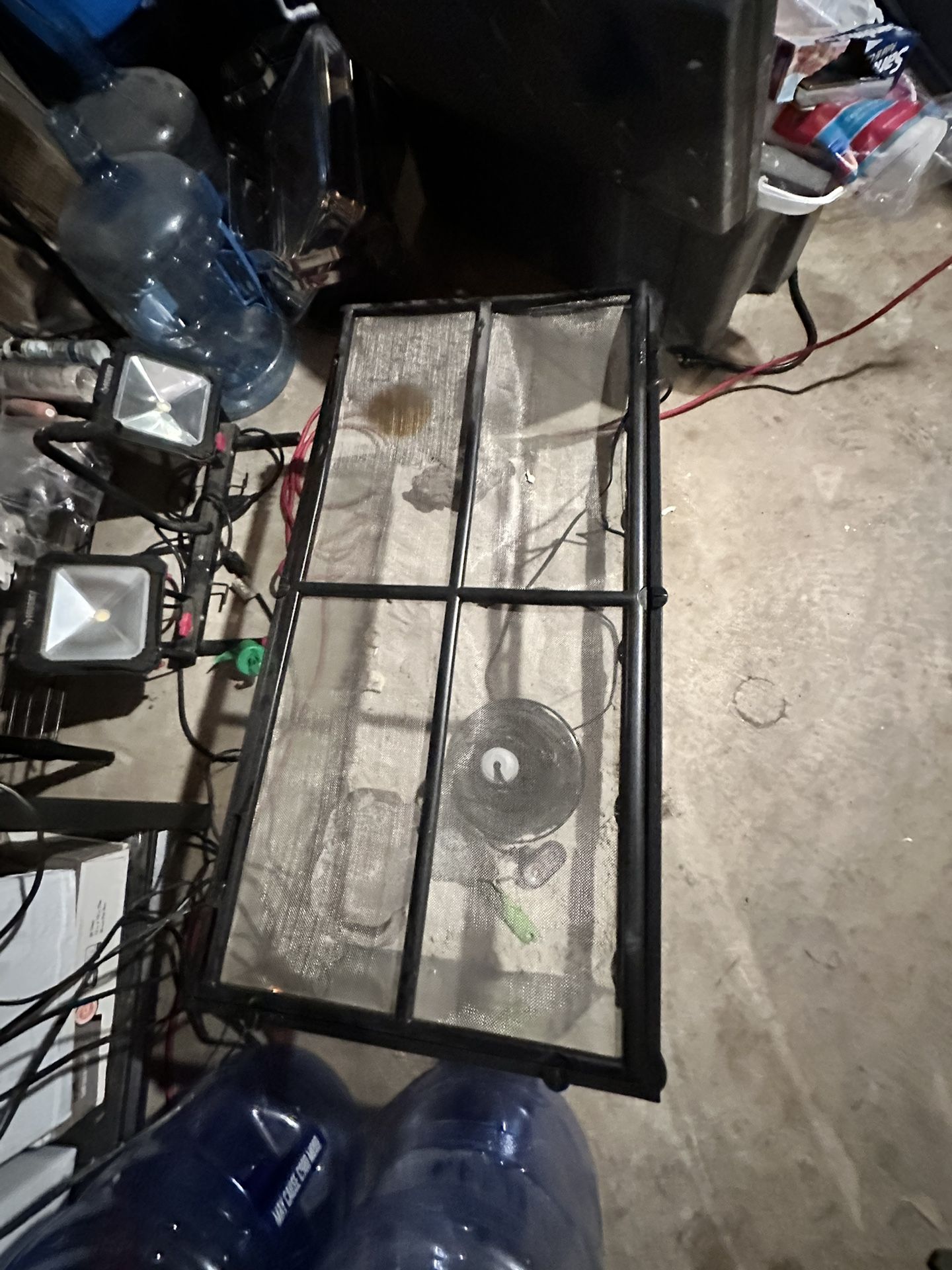 Lizards Cage