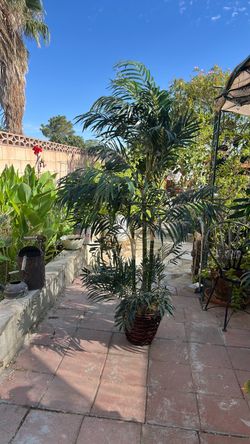 6. ft fake palm
