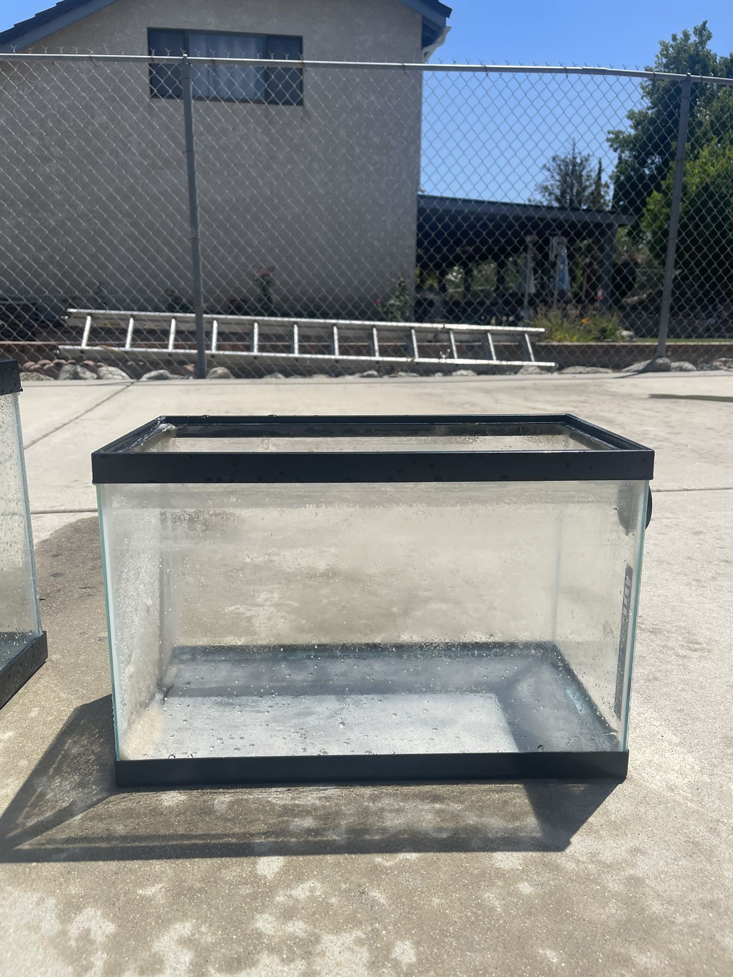 5 Gallon Fish Tank