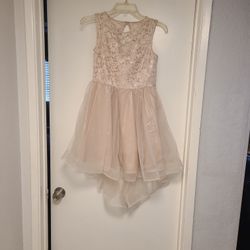 Girl Dress Size 12 Color Blush 