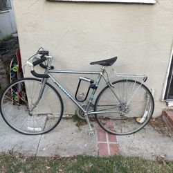 Schwinn Super Sport S/P, Silver Blue, 20in, Touring Road Bike 