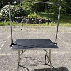 Grooming Table