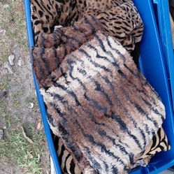 Cheetah Print Bedding