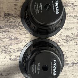 PRV 8 Inch Speaker 