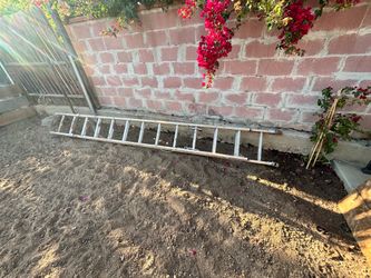 24 Ft Ladder