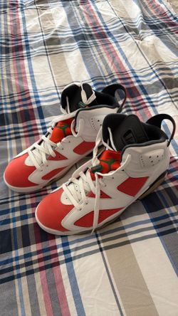 Jordan “Gatorade” retro 6