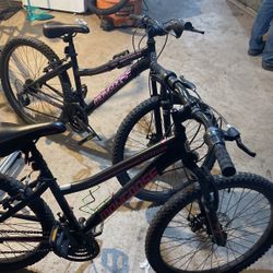 Two Bikes 