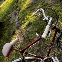 Vintage 16in Skyway Bicycle 