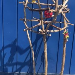 Parrot Perch Tree  - Custom Made And Durable For Years ( Ribbon Wood)🪵, Breeder Direct Wholesale Prices ! 