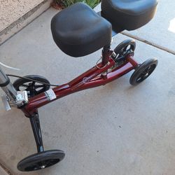 Knew Scooter, Burgundy Color