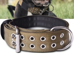 Dog Collar With Haddle 