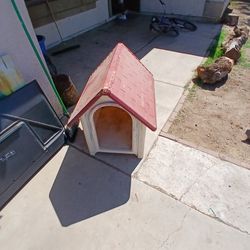 Dog HOUSE