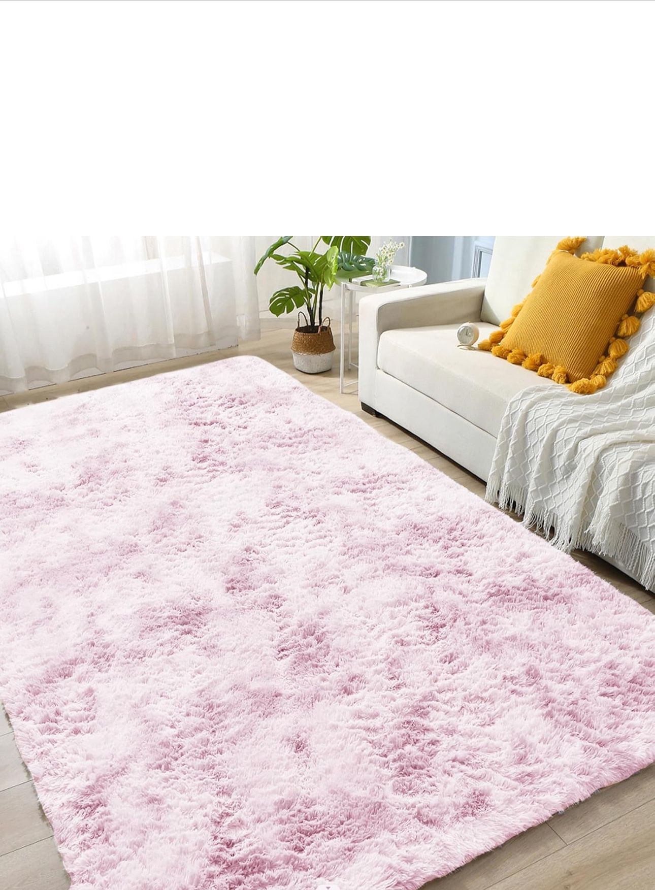 Carpet + Free Curtain