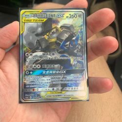Chinese Tag Team Lucario Melmetal