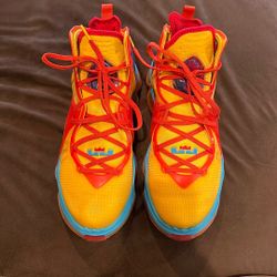 LeBron James Gym Shoes (Money Will Be Donated To A Ministry 