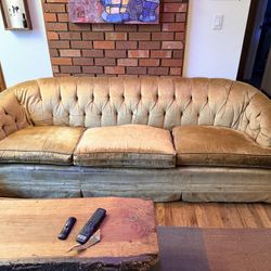 FREE Gold Velvet Couch